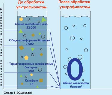 Опыт бухнера микробиология рисунок